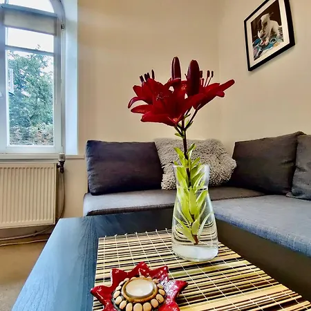 Piksi Old Town Self-check In Appartement