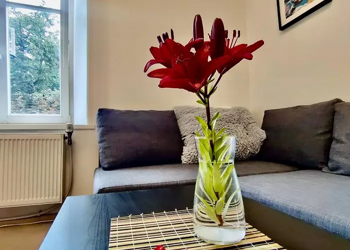 Piksi Old Town Self-check In Appartement